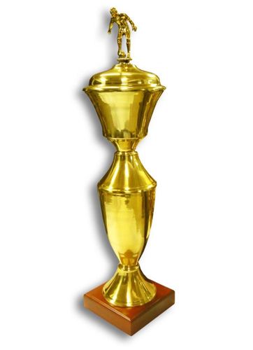 Imagen de Copa de metal con tapa M5.1870