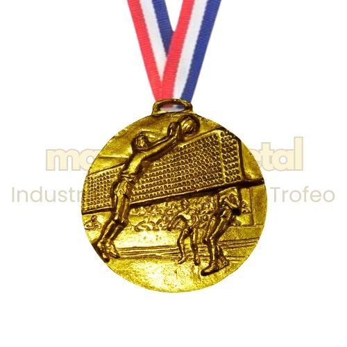 Imagen de Medalla Voley. 48mm.. - M9.342